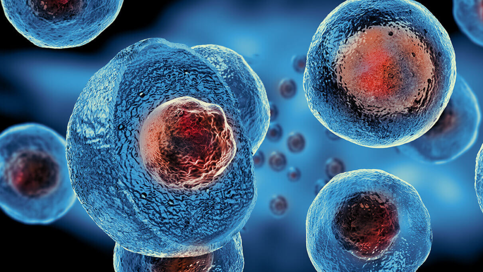 Stem cell visualization representing regenerative therapy at iCRYO Grosse Pointe